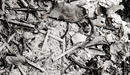 ash from the paper matches the backgroundの写真素材