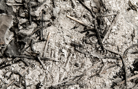 ash from the paper matches the backgroundの写真素材