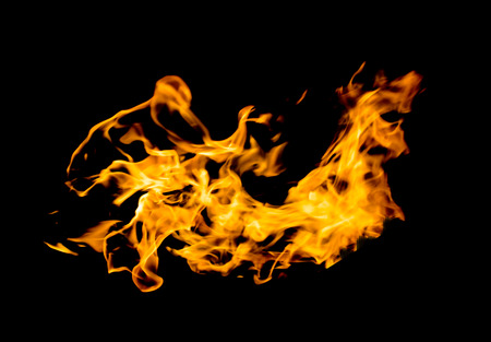Fire flames on a black background