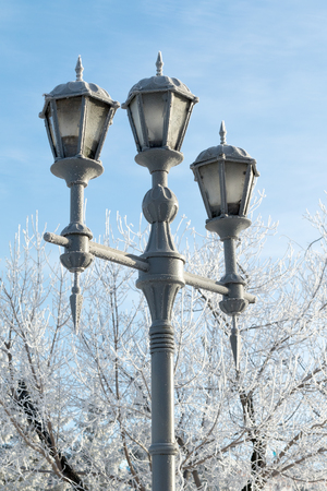 decorative street lamp, winterの写真素材