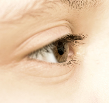 Close up view of a brown eye - no make up onの写真素材