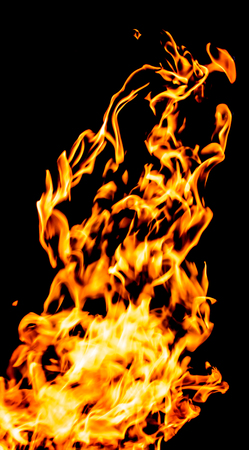 Fire flames on a black background