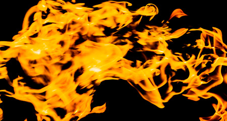 Fire flames on a black background