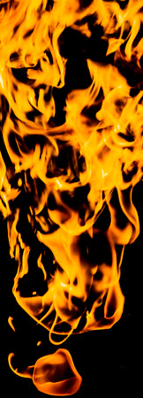Fire flames on a black background