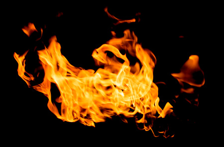 Fire flames on a black background
