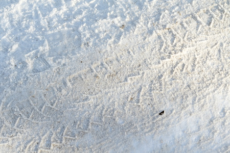 snow background, winter landscape
