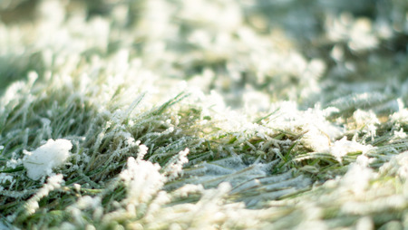 winter landscape nature park forestの写真素材