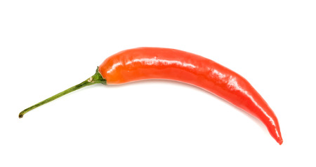 chili pepper on a white background