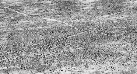 snow and snowflakes on the frozen asphalt with ice for a natural background