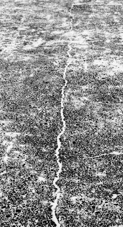 snow and snowflakes on the frozen asphalt with ice for a natural backgroundの写真素材