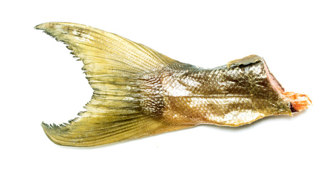tail smoked fish close-up on a white backgroundの写真素材