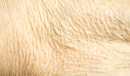 Close up of human hand texture background.の写真素材