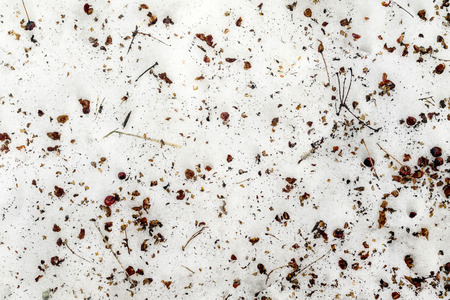 dirty snow in the garden in springの写真素材