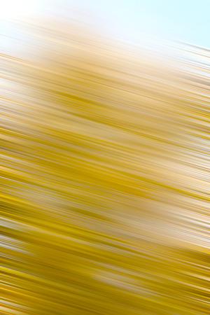 Light Abstract Motion Background.の写真素材