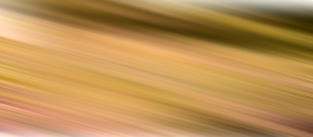 Light Abstract Motion Background