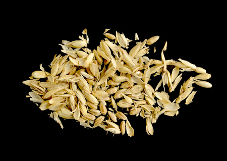 Wheat bran husk on black backgroundの写真素材