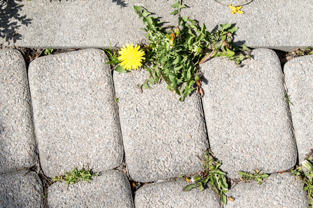 paving the prospect, street sceneの写真素材