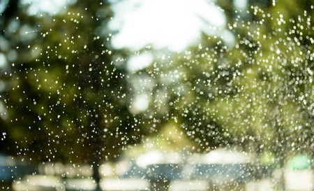 drops of water on a green background blurの写真素材