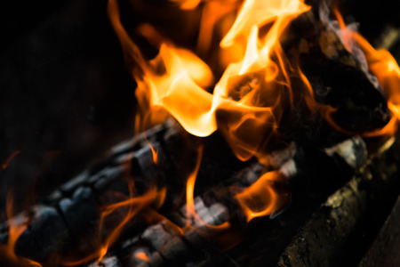fire flames, burning campfire closeup