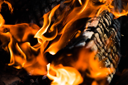 fire flames, burning campfire closeupの写真素材