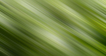 Light Abstract Motion Background.の写真素材