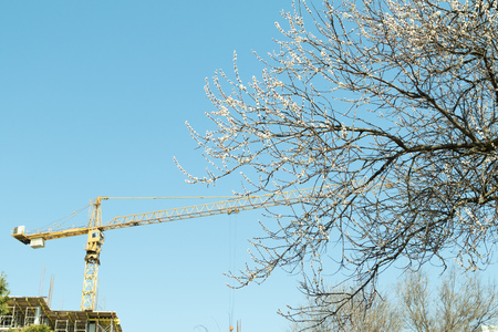 tower crane builds the house, natureの写真素材