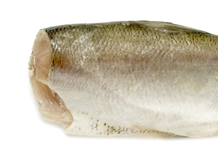 fish without head on white backgroundの写真素材