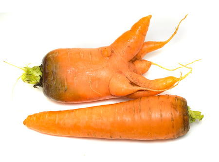 carrots on a white backgroundの写真素材