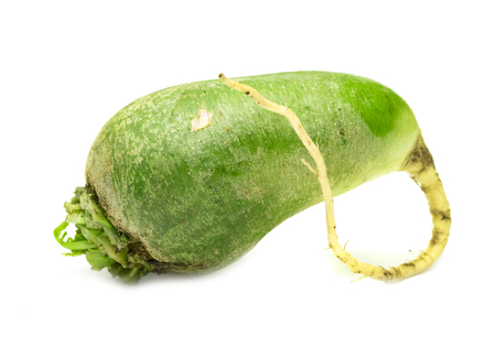 green radish on a white backgroundの写真素材