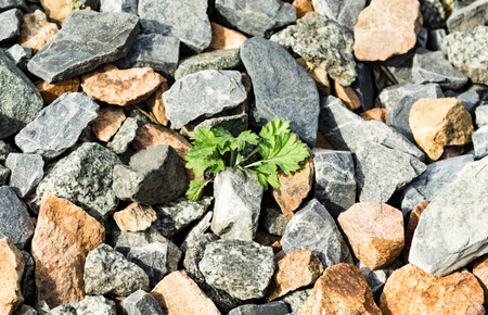 crushed granite backgroundの写真素材