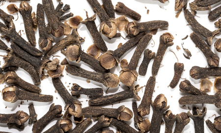 cloves spices on white backgroundの写真素材