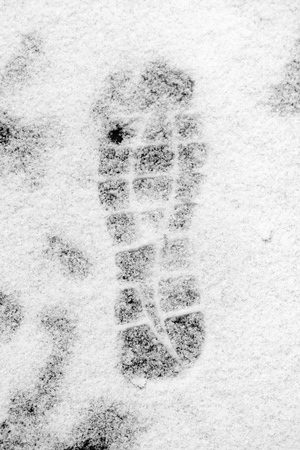 trail shoe in the snowの写真素材