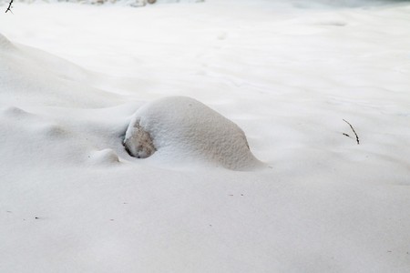 Snow texture for the backgroundの写真素材