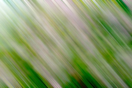 defocused nature in motionの写真素材