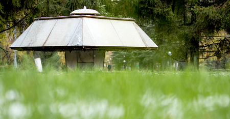 green grass, blurred background, cityscapeの写真素材