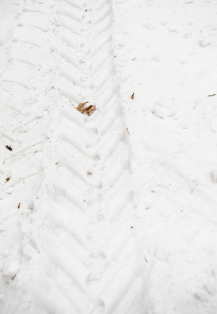 Snow texture for the backgroundの写真素材
