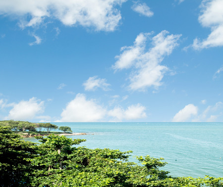 seascape sea sky treesの写真素材