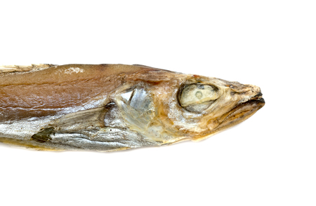 dry fish mackerel on a white backgroundの写真素材