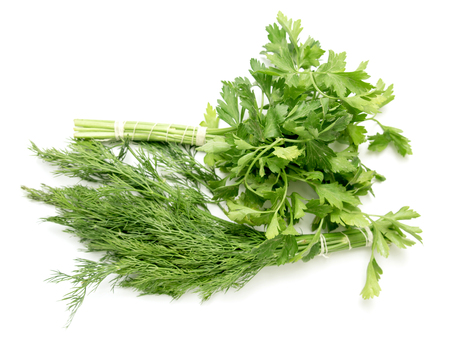dill parsley to eat on a white backgroundの写真素材
