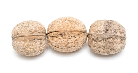 walnut on a white backgroundの写真素材