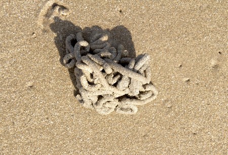 Arenicola marina. Closeup of lug worm cast on the sand.の写真素材