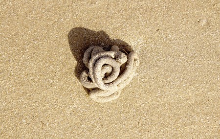 Arenicola marina. Closeup of lug worm cast on the sand.