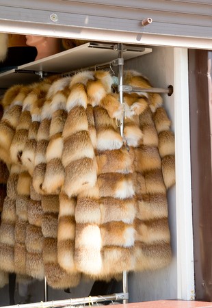 coat of fox for sale in the storeの写真素材