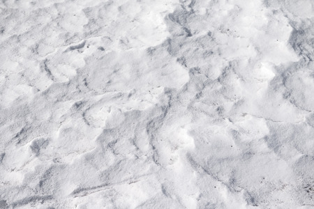 snow white backgroundの写真素材