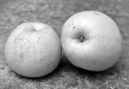 apples on a table, black and white photoの写真素材