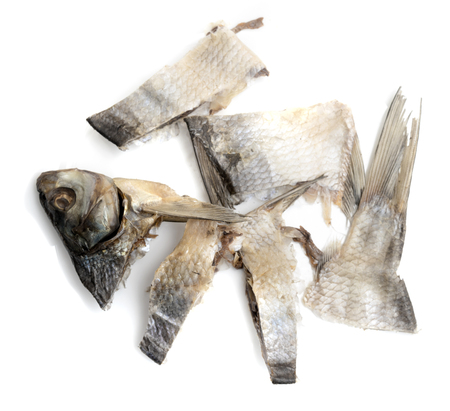 Dried salted fish on a white backgroundの写真素材