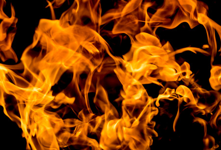 Fire flames on a black background