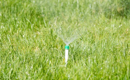 Irrigation System Watering the green grassの写真素材