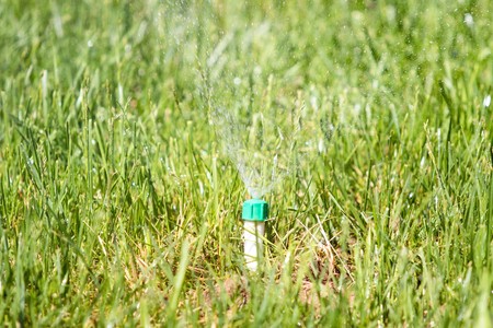 Irrigation System Watering the green grassの写真素材