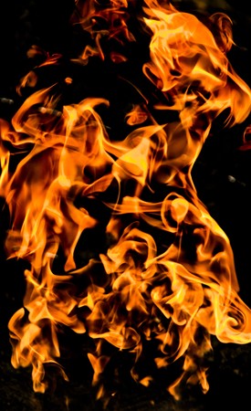 Fire flames on a black background